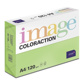 Image Coloraction 120 A4 Java/Grasgroen