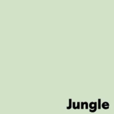 Image Coloraction 80 A4 Jungle/licht groen ECF