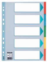 Esselte tabbladen, voor A4, uit karton, 5 tabs, geassorteerde kleuren