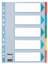 Esselte tabbladen, voor A4, uit karton, 5 tabs, geassorteerde kleuren