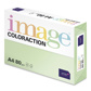 Image Coloraction 80 A4 forest/middelgroen